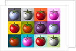 Multi coloured tomatos by Assaf Frank